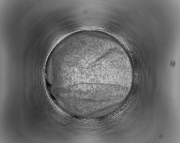 X0000098220895200805151314