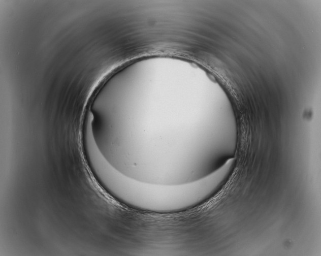 X0000098220896200805151314