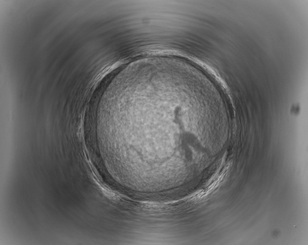 X0000098220897200805151314