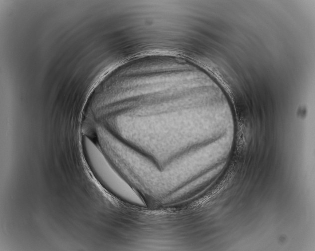 X0000098220898200805151314