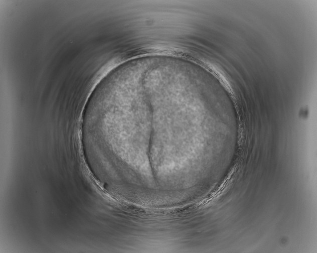 X0000098220899200805151314