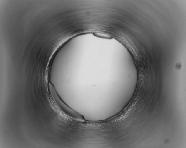 X0000098220900200805151314