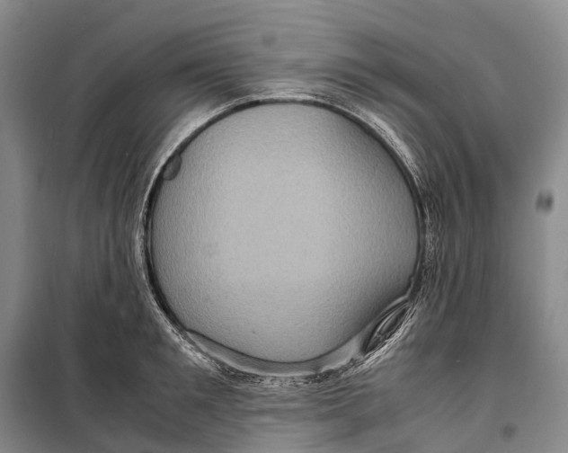 X0000098220901200805151314