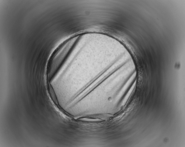 X0000098220902200805151314