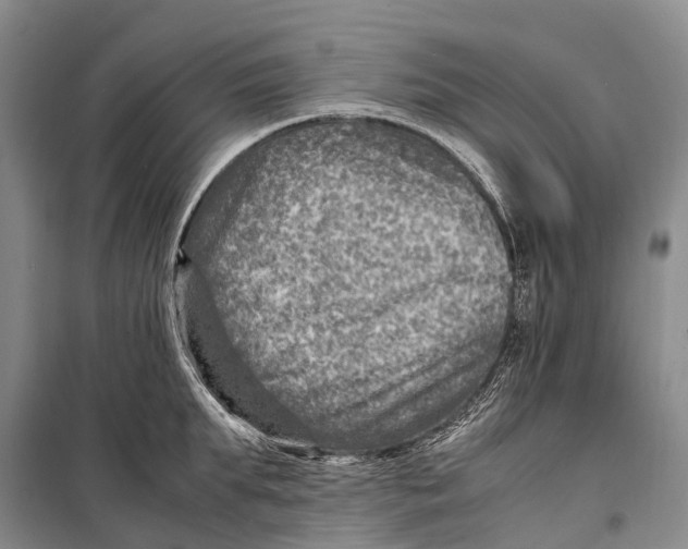 X0000098220903200805151314