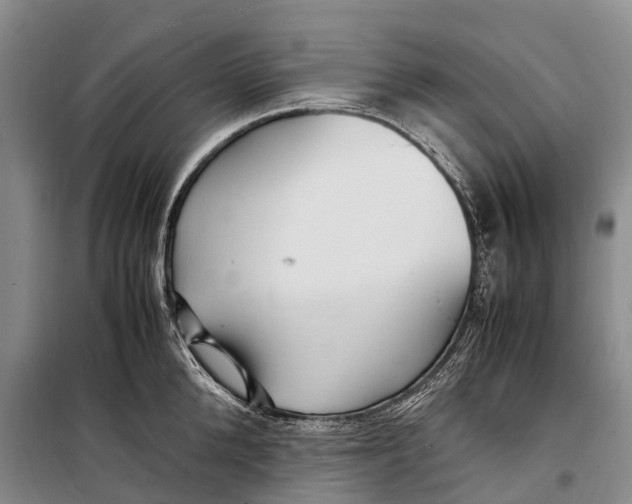 X0000098220904200805151314