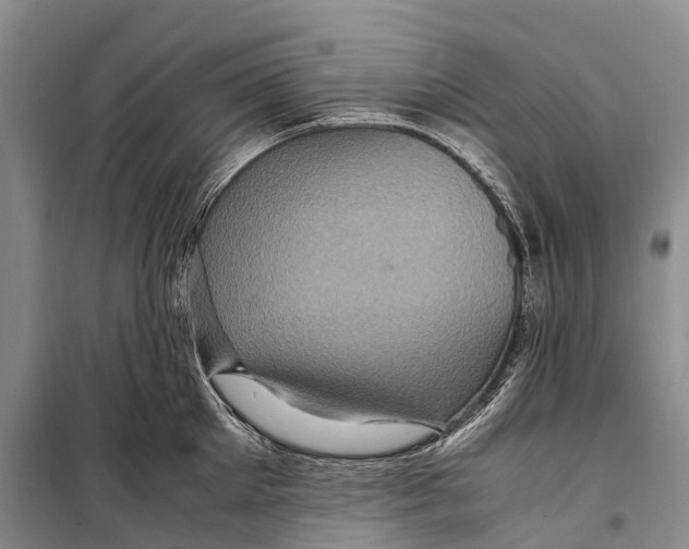 X0000098220905200805151314