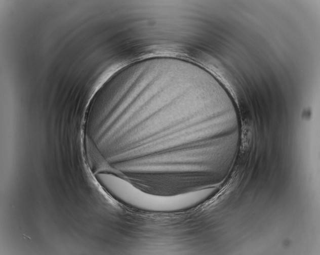 X0000098220906200805151314