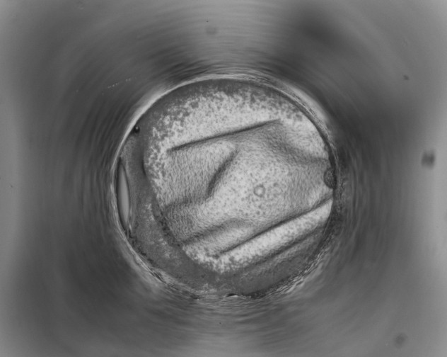 X0000098220907200805151314