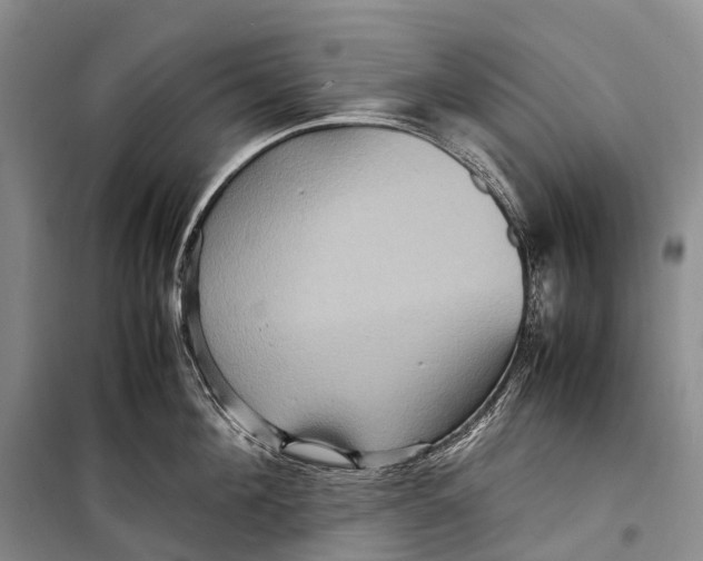 X0000098220908200805151314