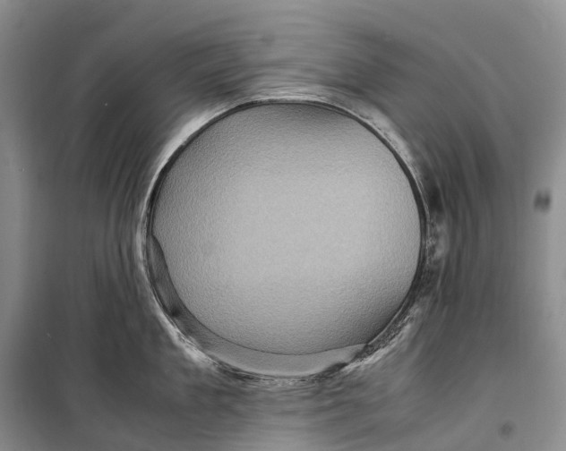 X0000098220909200805151314