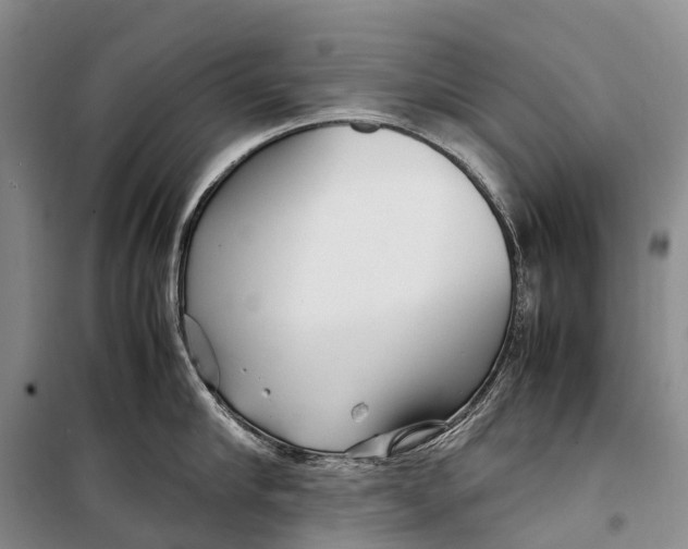 X0000098220910200805151314