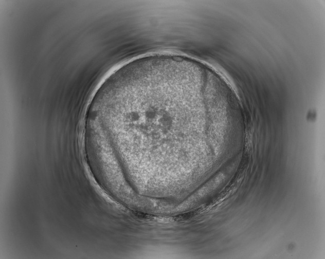 X0000098220911200805151314