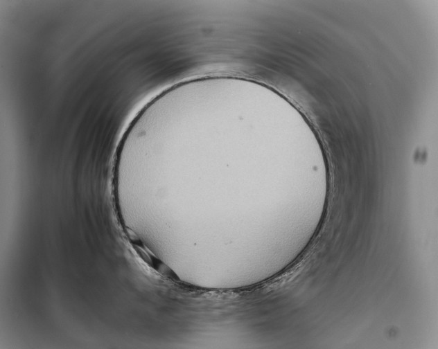 X0000098220912200805151314