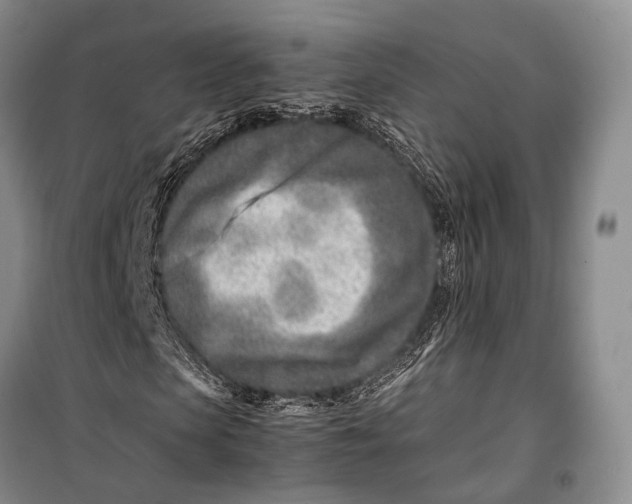 X0000098220913200805151313