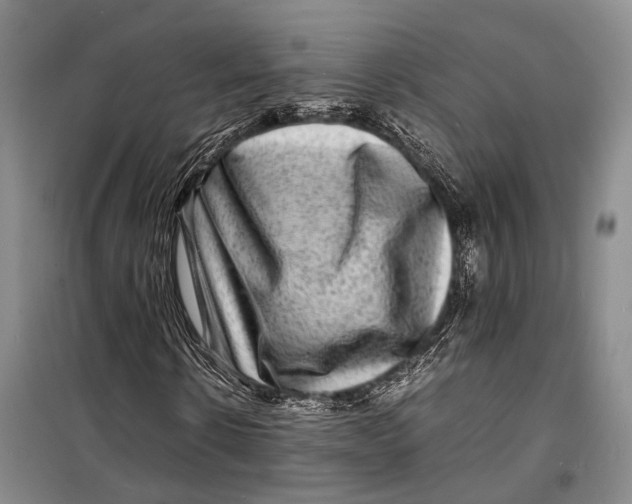 X0000098220914200805151314