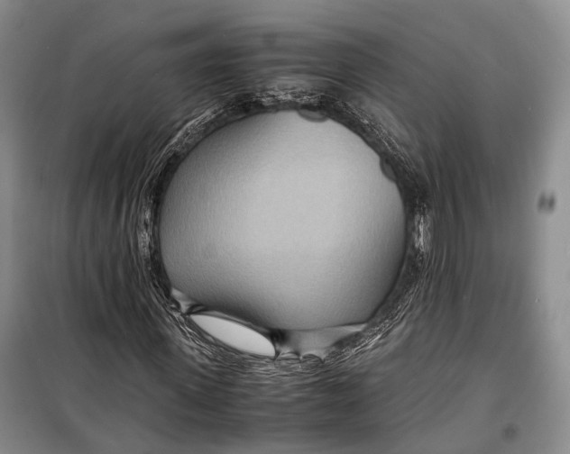 X0000098220915200805151314