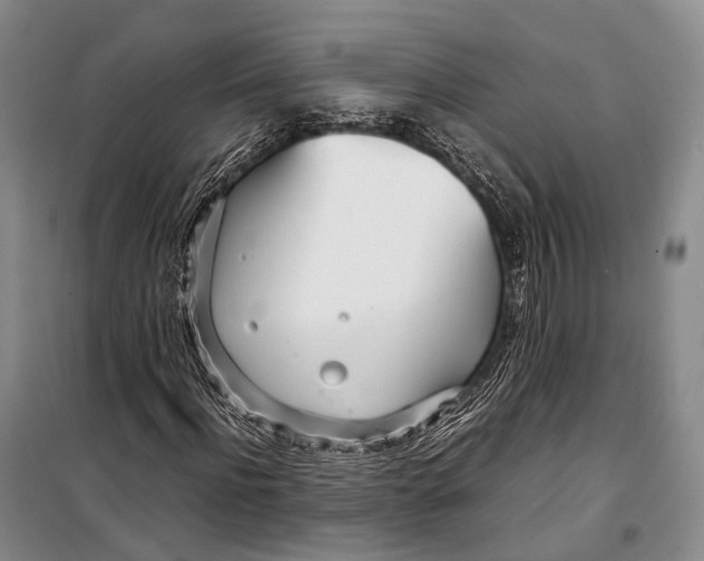 X0000098220916200805151314