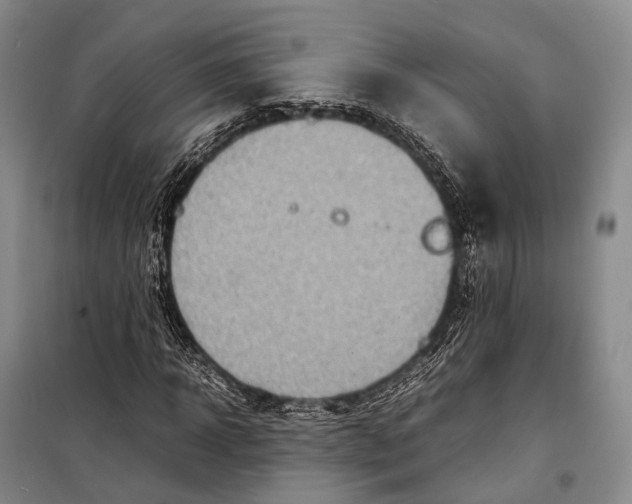 X0000098220918200805151314