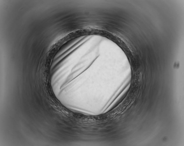 X0000098220919200805151314