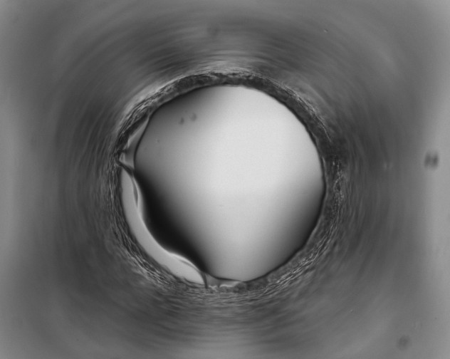 X0000098220920200805151314