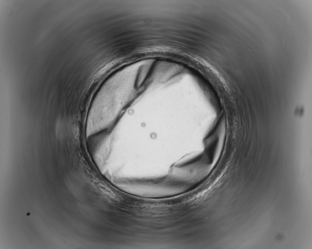 X0000098220921200805151314