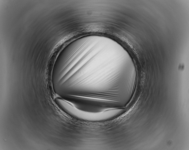 X0000098220922200805151314