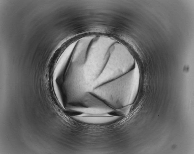 X0000098220923200805151314