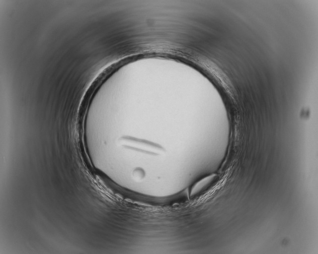 X0000098220924200805151314