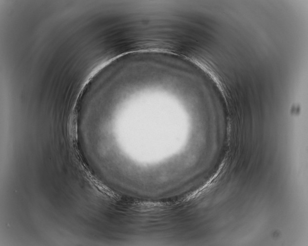 X0000098220925200805151314