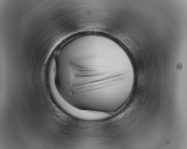 X0000098220926200805151314