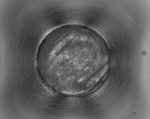 X0000098220927200805151314