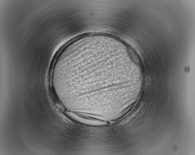 X0000098220928200805151314