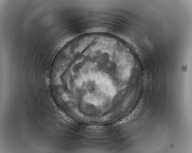 X0000098220929200805151314