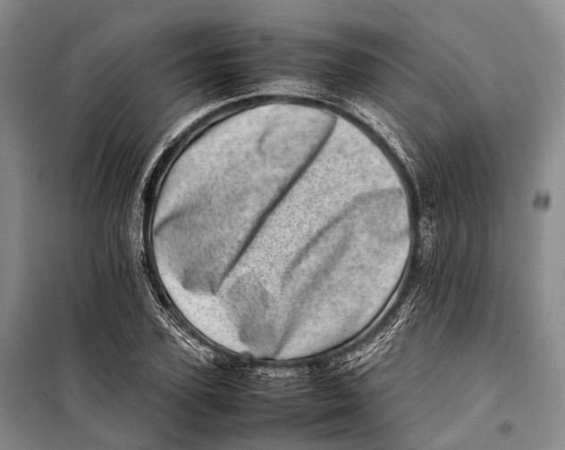 X0000098220931200805151314