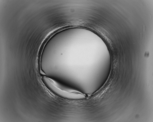 X0000098220932200805151314