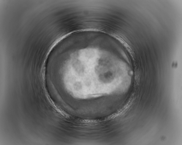 X0000098220933200805151314