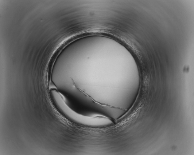 X0000098220934200805151314