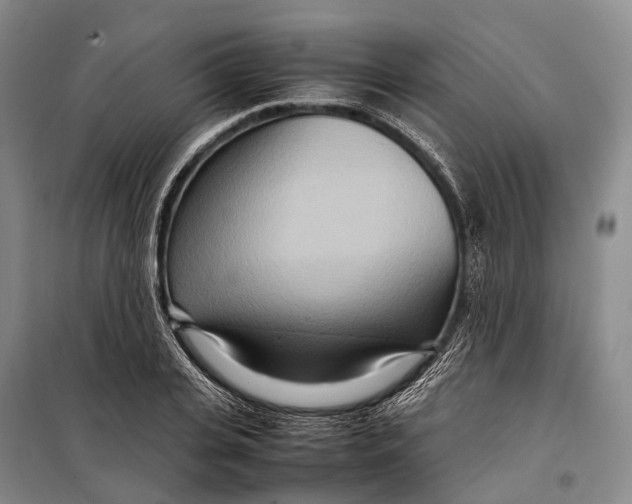 X0000098220935200805151314