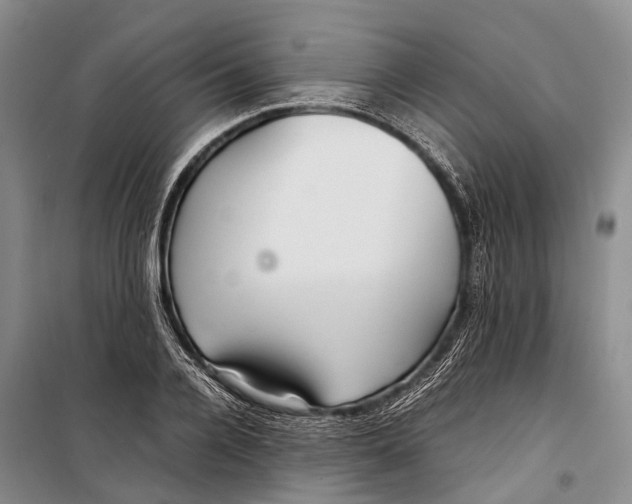 X0000098220936200805151314