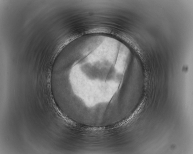 X0000098220937200805151314