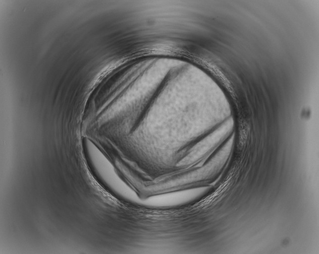 X0000098220938200805151314