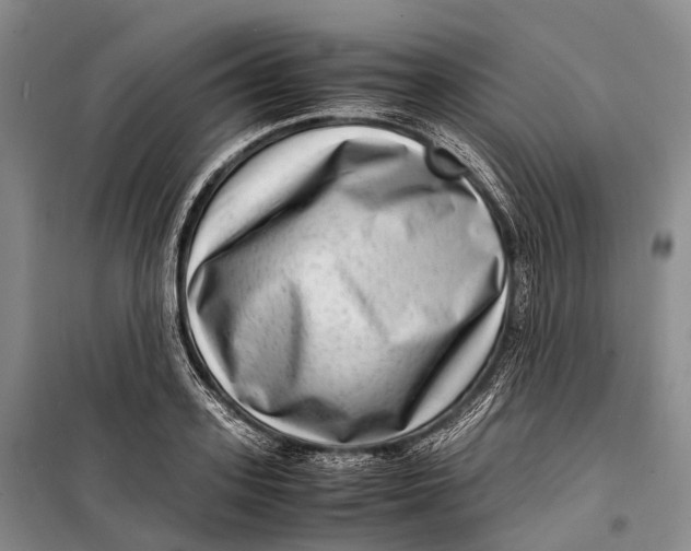 X0000098220939200805151314