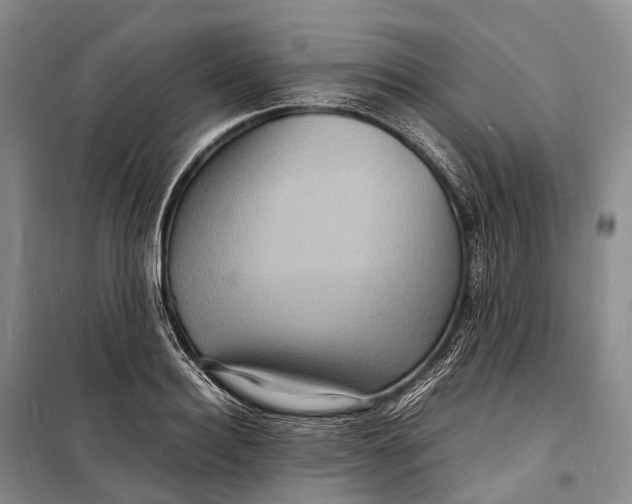 X0000098220940200805151314