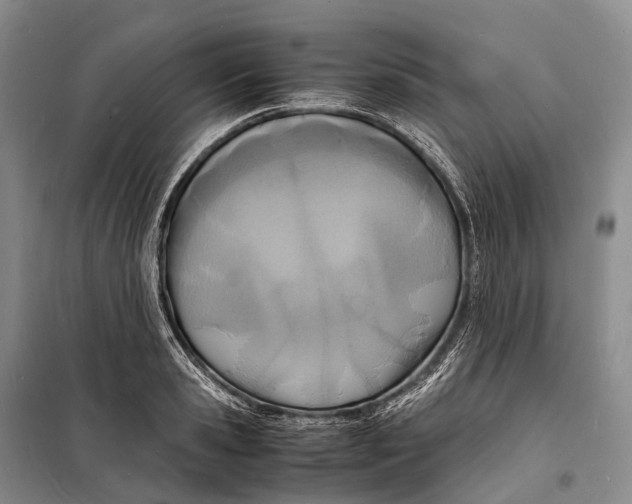 X0000098220941200805151314