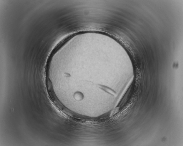 X0000098220942200805151314