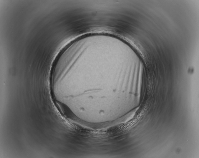 X0000098220943200805151314