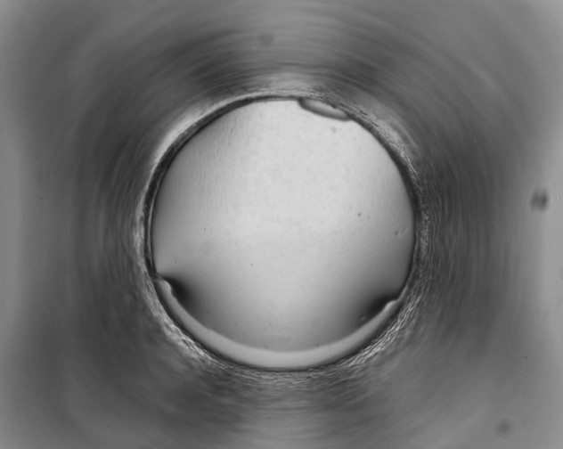 X0000098220944200805151314