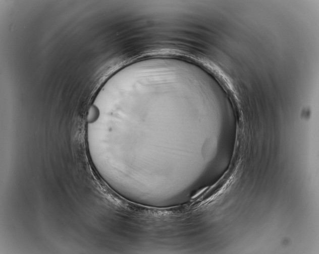 X0000098220945200805151314