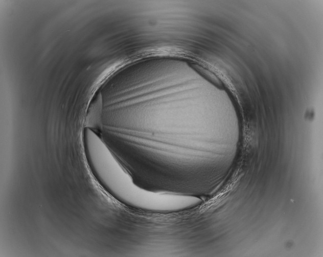 X0000098220946200805151314